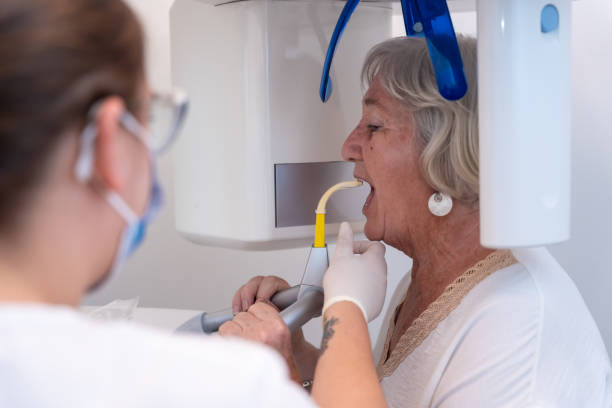 Best Emergency X-Rays and Diagnostics in Boonville, CA